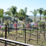 Temecula_0039 ()
